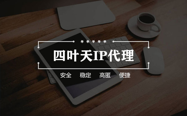 【河北代理IP】如何快速搭建代理IP？怎么检查代理的效果？